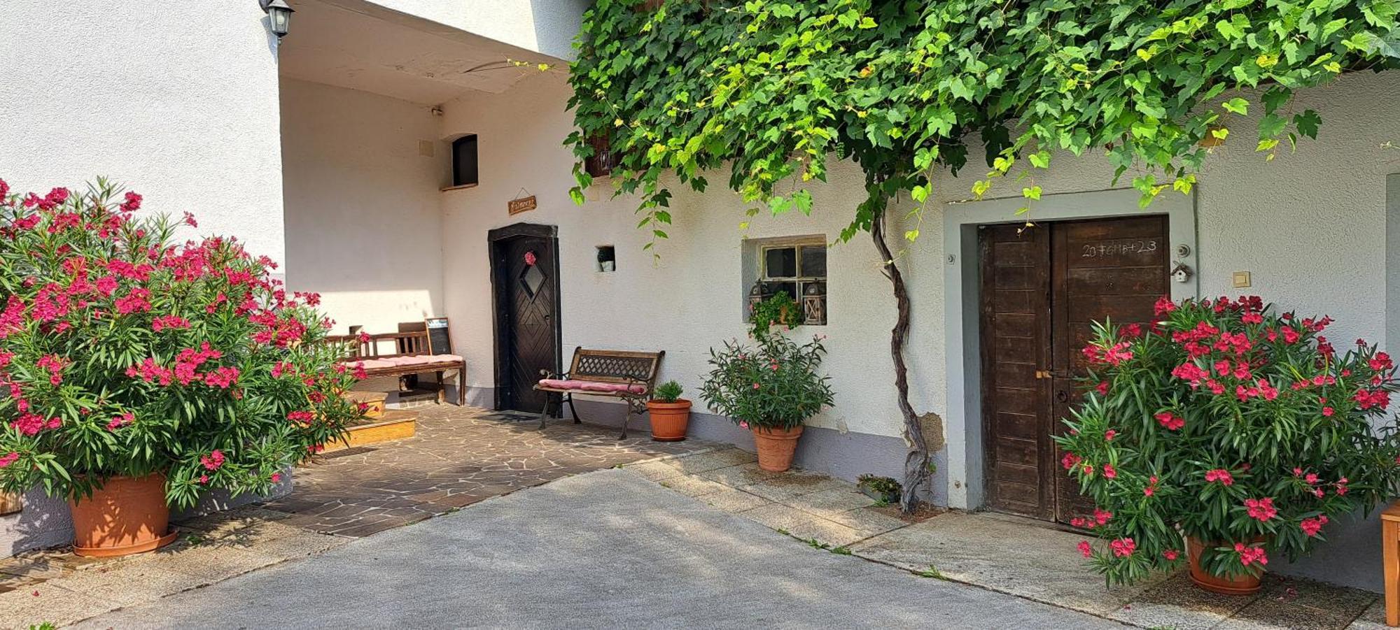 Ana Antloga Apartments Bled Buitenkant foto