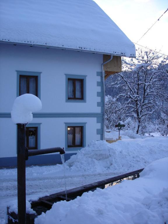 Ana Antloga Apartments Bled Buitenkant foto